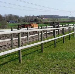 Tryckimpregnerad Kluven