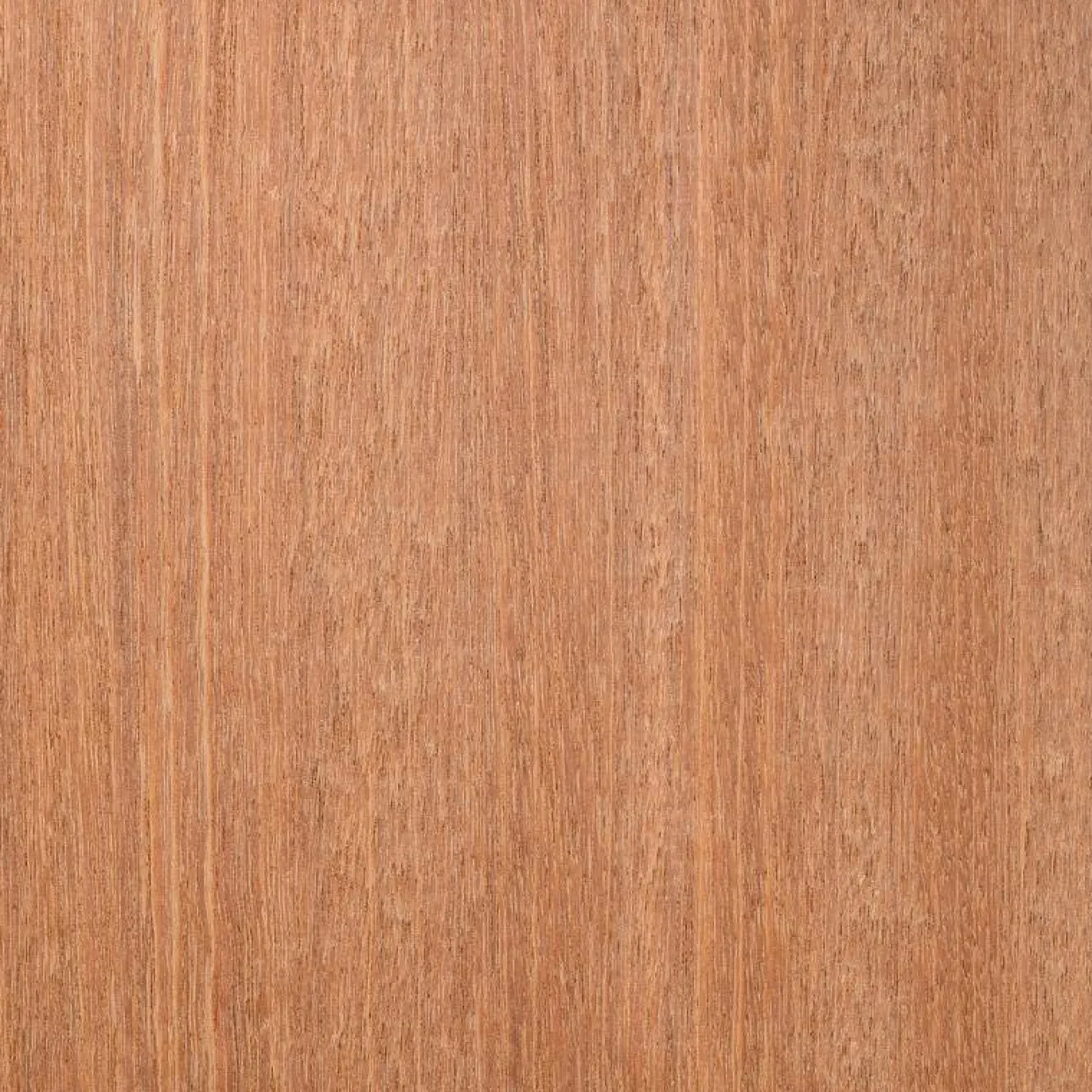 21x145 mm